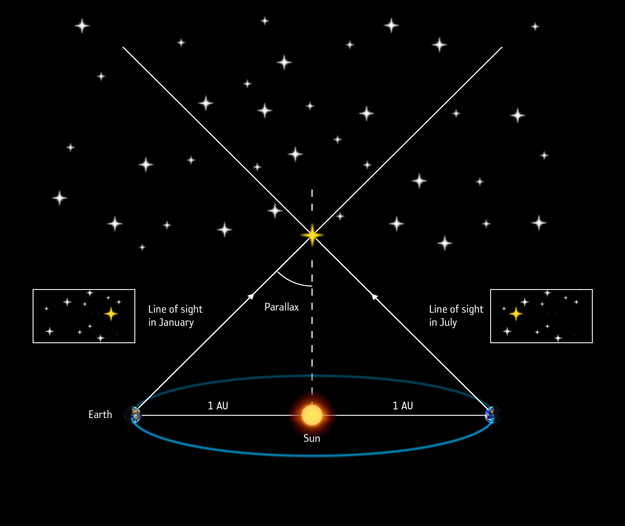 Illustrazione che mostra lo spostamento apparente di una stella rispetto allo sfondo nell’arco di sei mesi.
